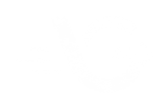 Logo VietGo