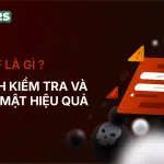 CSRF là gì ? Cách kiểm tra và bảo mật hiệu quả